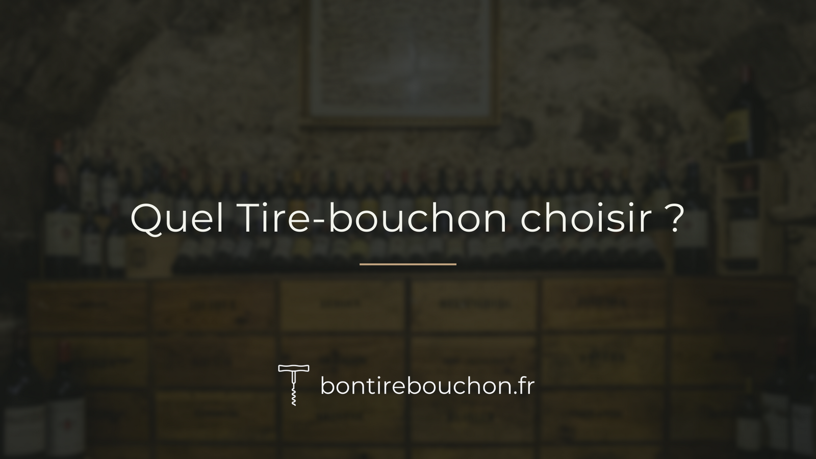 quel tire bouchon choisir